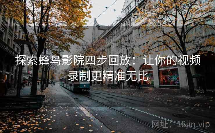 探索蜂鸟影院四步回放：让你的视频录制更精准无比