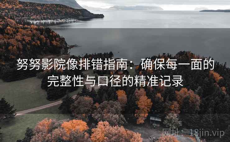 努努影院像排错指南:确保每一面的完整性与口径的精准记录 努努影院像排错指南:确保每一面的完整性与口径的精准记录